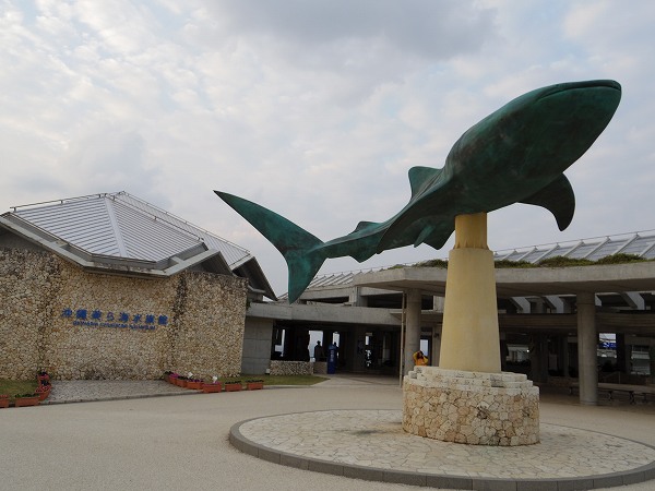 沖縄☆美ら海水族館1