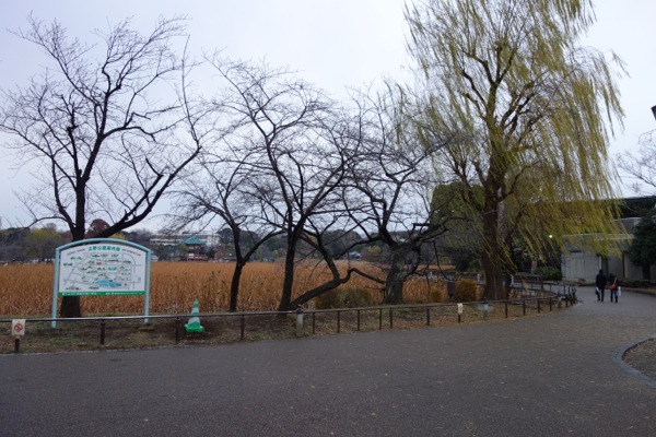 cheer-チアらんど_駅伝発祥の地_上野不忍の池_2