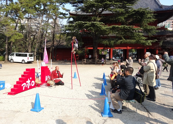 チア歴史文化-東京芝公園-増上寺-4