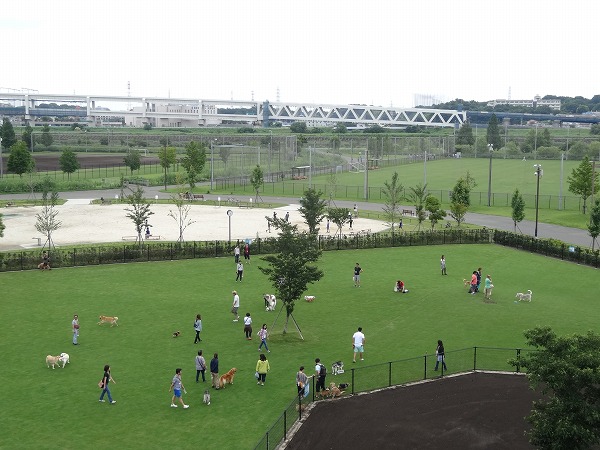 チアらんど-新横浜公園-14