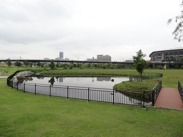 新横浜公園-鶴見川-6