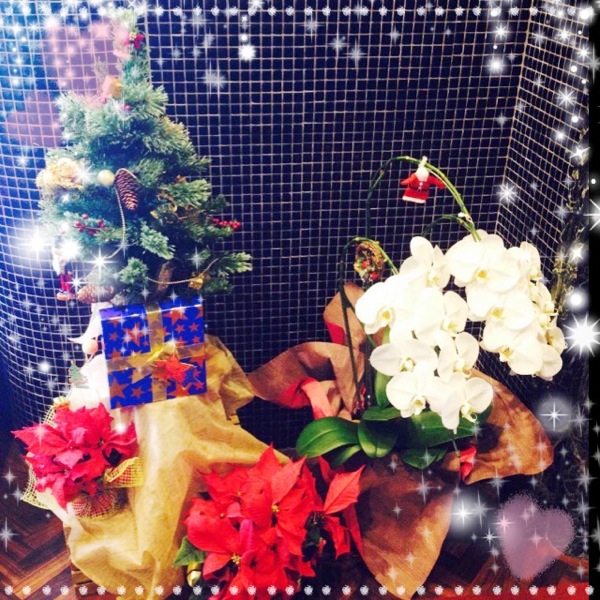 cheer_Fiore_私のクリスマス♪★YURIE★_1