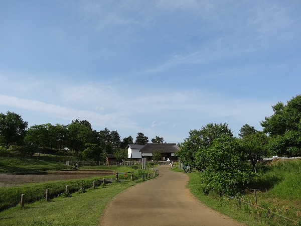 昭和記念公園‐こもれびの里‐3