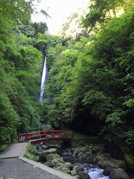 チアらんど_連休疲れ_癒し_川崎球場_1