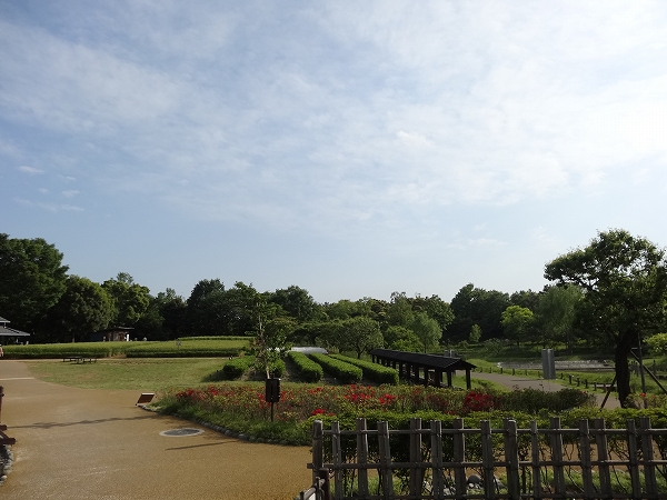 昭和記念公園‐こもれびの里‐28