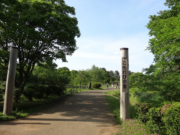 昭和記念公園‐こもれびの里‐1