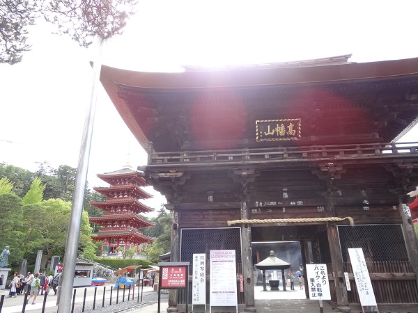 あじさいまつり☆高幡不動尊金剛寺-1