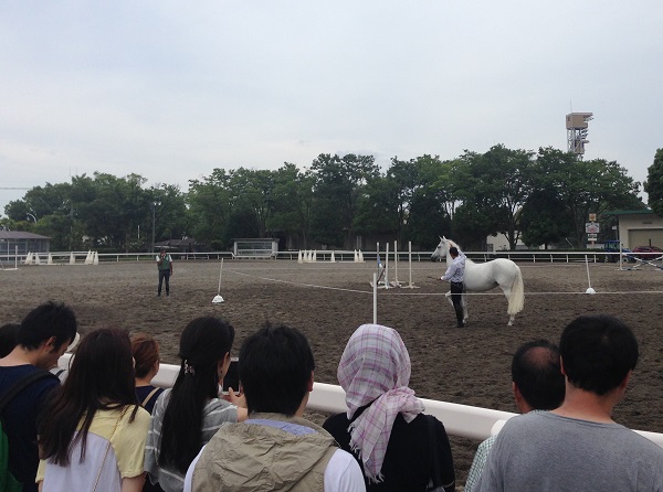東京競馬場‐乗馬‐ミニチュアホース‐8