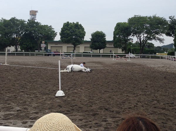 東京競馬場‐乗馬‐ミニチュアホース‐10