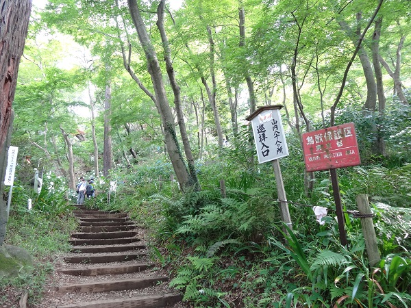 あじさいまつり☆高幡不動尊金剛寺-17