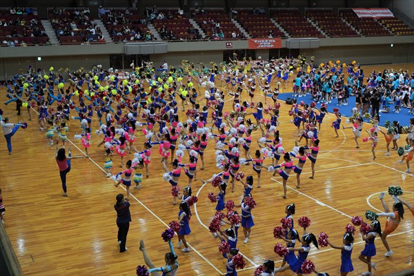 ハマチア、横浜、チア、大会、８－１８