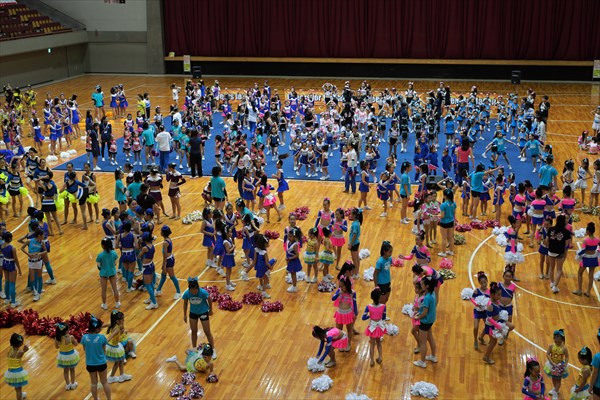 ハマチア、横浜、チア、大会、８－１５