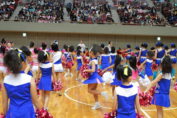 ハマチア、横浜、チア、大会、８－２３