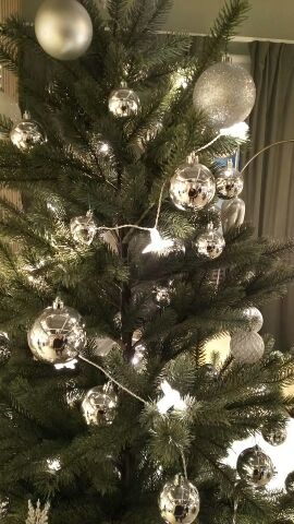 チアらんど-クリスマスツリー2