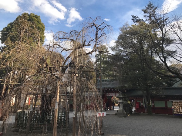 Ookunitama Shrine_3