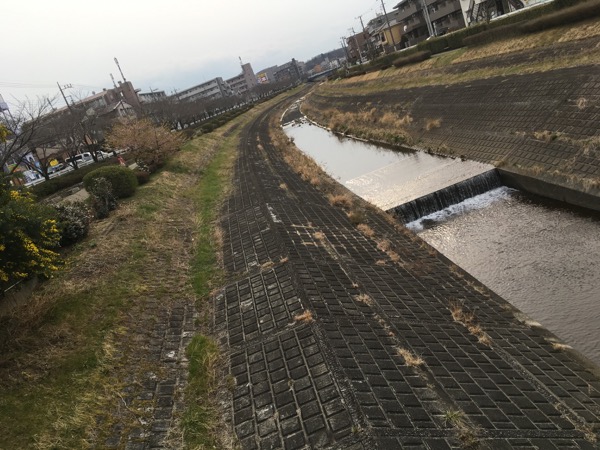 riverside_spring_tokyo_1