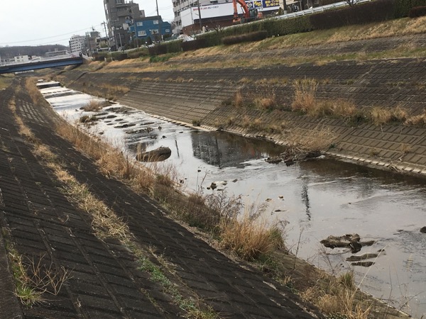 riverside_spring_tokyo_8