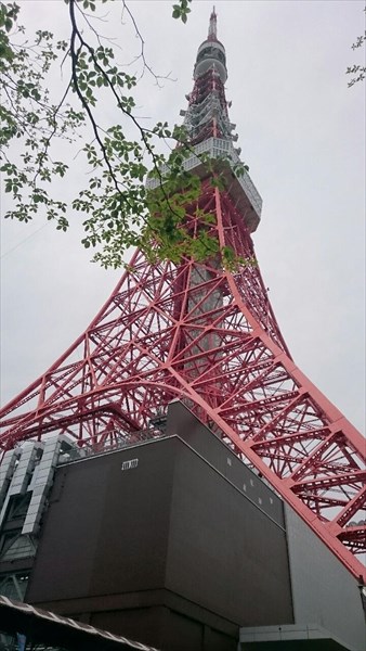 チア、東京タワー、散歩、２