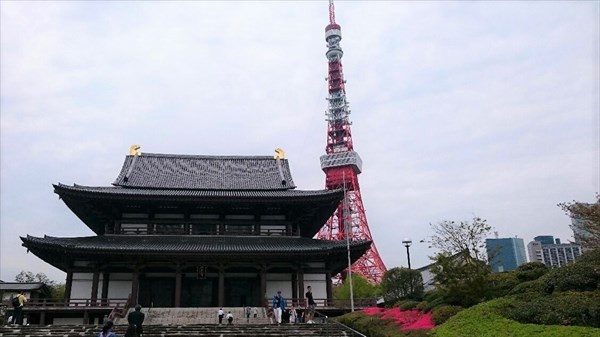 チア、東京タワー、散歩、６