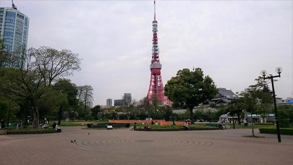 チア、東京タワー、散歩、７