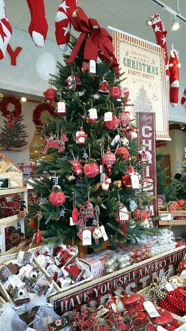 cheerland-チア‐クリスマスツリー‐1