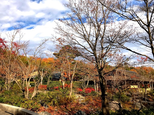 紅葉‐昭和記念公園2