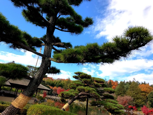 紅葉‐昭和記念公園14