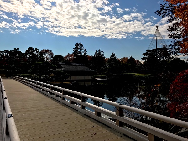 紅葉‐昭和記念公園13