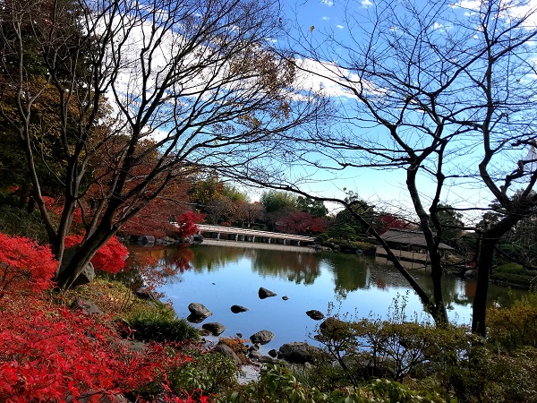 紅葉‐昭和記念公園11